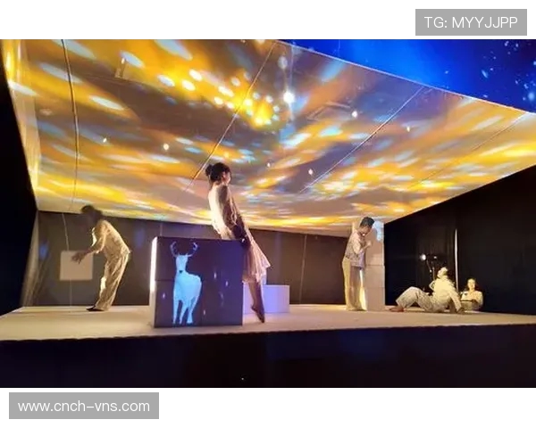 《藏匿在阴影中的游戏真人挑战 谁能找到隐藏的秘密人物》